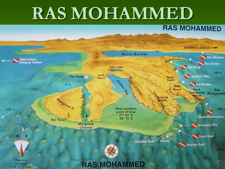 ras mo